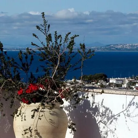 Casa Di Meglio Hotel Ischia