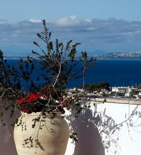 Casa Di Meglio Hotel Ischia