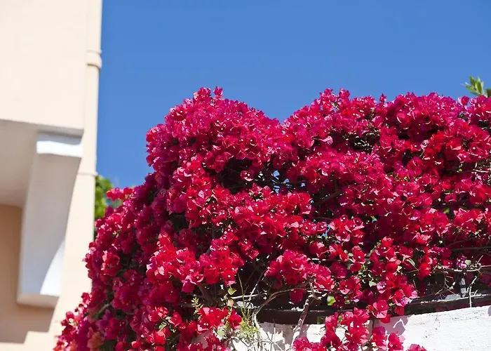 Casa Di Meglio فندق 3*