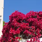 Casa Di Meglio Hotel 3*