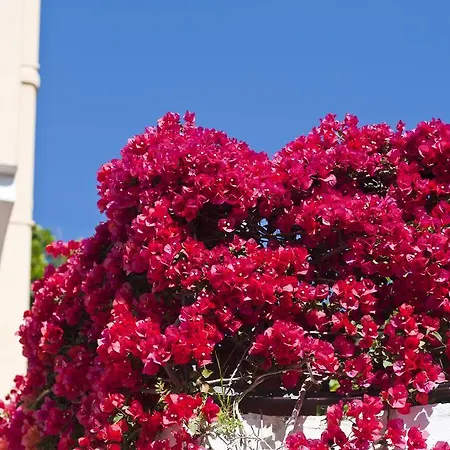Casa Di Meglio Ξενοδοχείο 3*